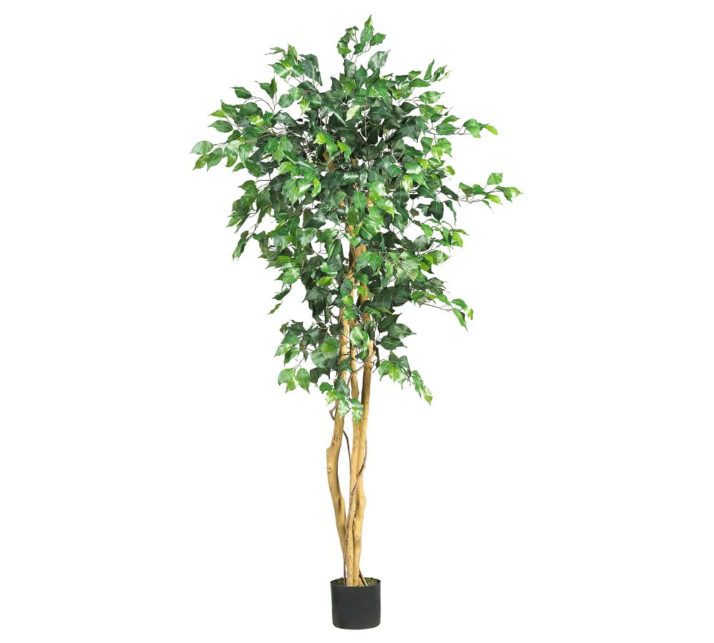 Faux Potted Palace Style Ficus Tree Pottery Barn