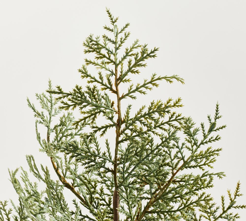 PreLit Faux Potted Cedar Trees Pottery Barn