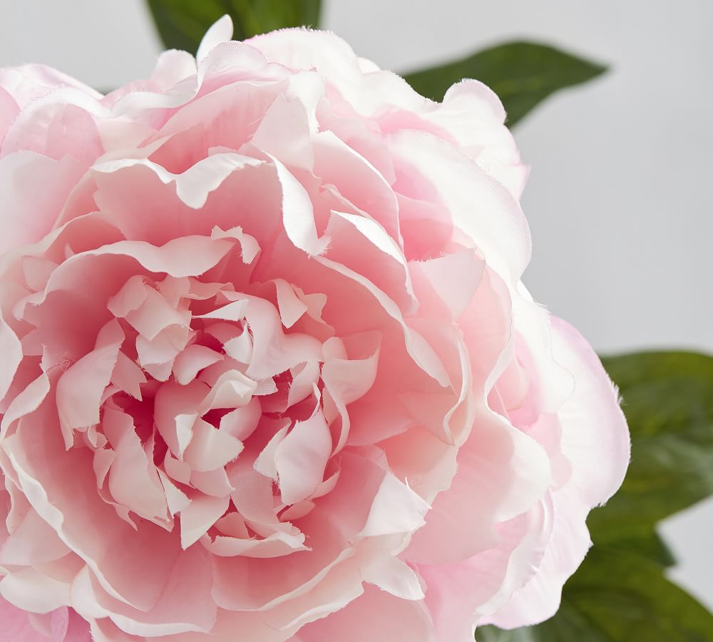 Faux Peony Bundle Artificial Flowers Pottery Barn