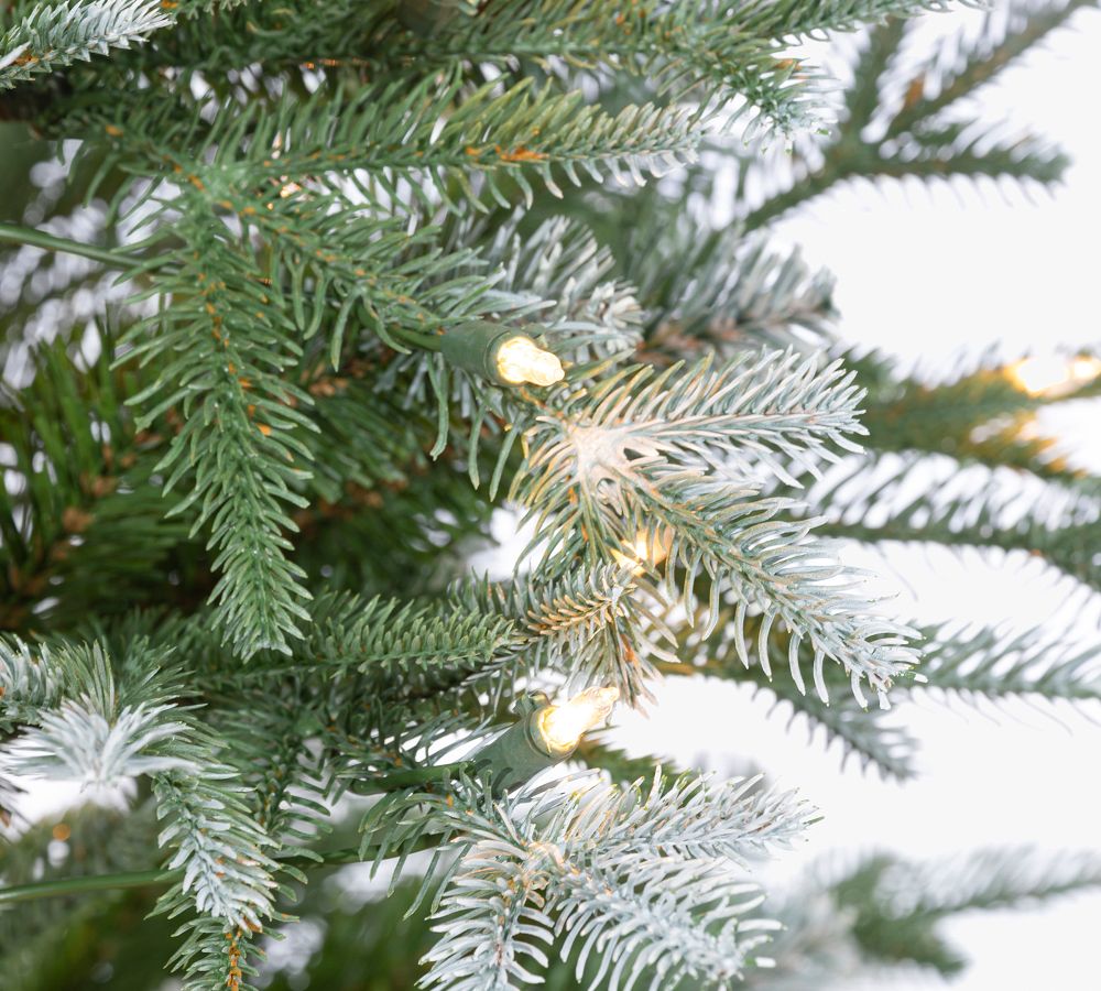 Pre-Lit Natural Cut Frosted Pine Faux Christmas Tree | Pottery Barn