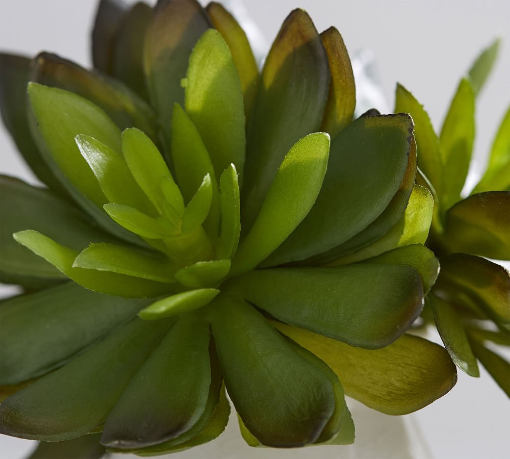 Faux Succulent Stems Artificial Flowers Pottery Barn