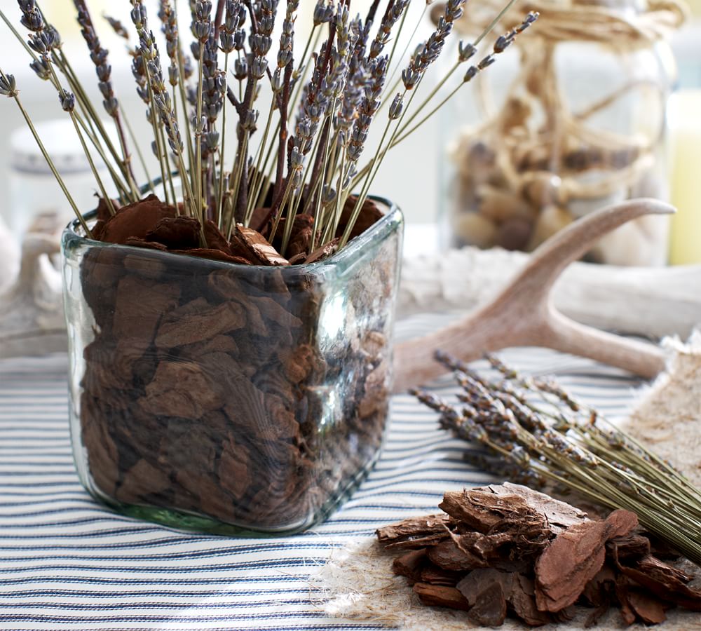 Orchid Bark Vase Filler Pottery Barn