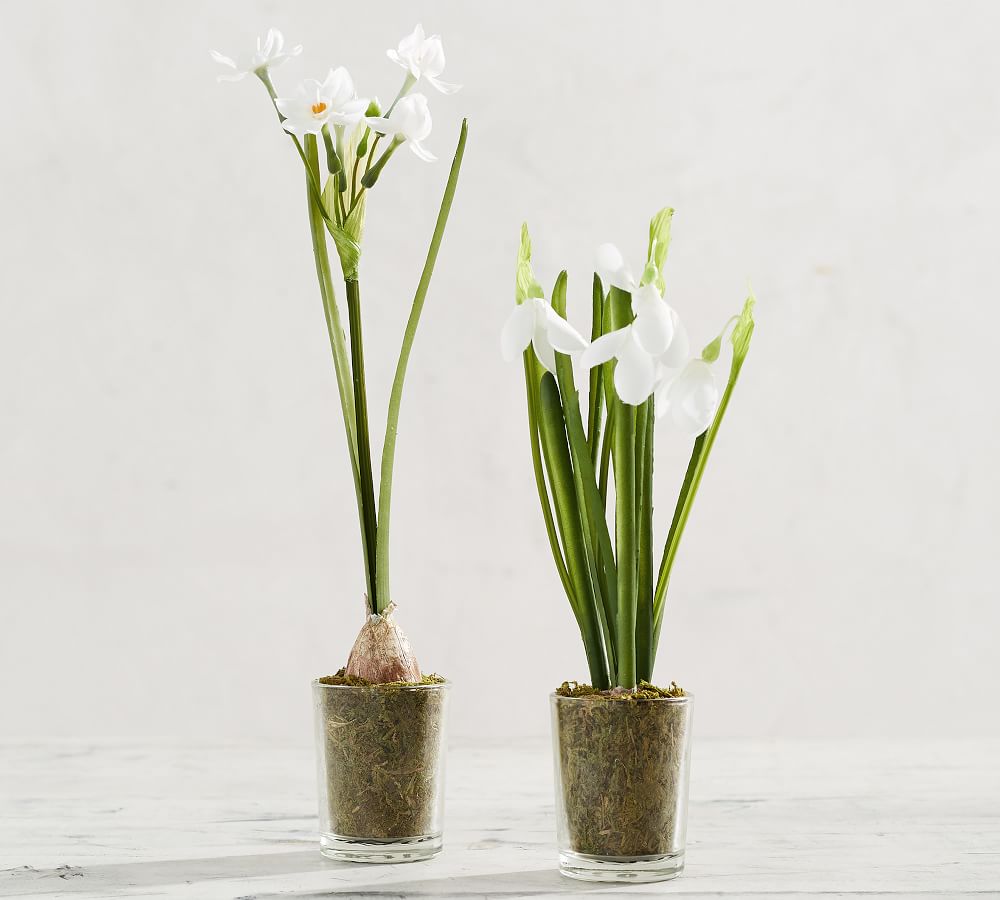 Faux Potted Paperwhites in Glass Vase Pottery Barn