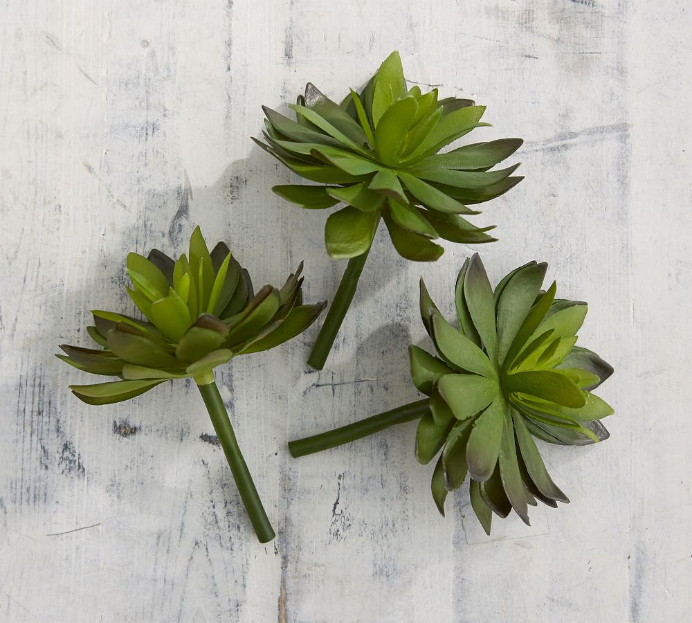 Faux Succulent Stems Artificial Flowers Pottery Barn