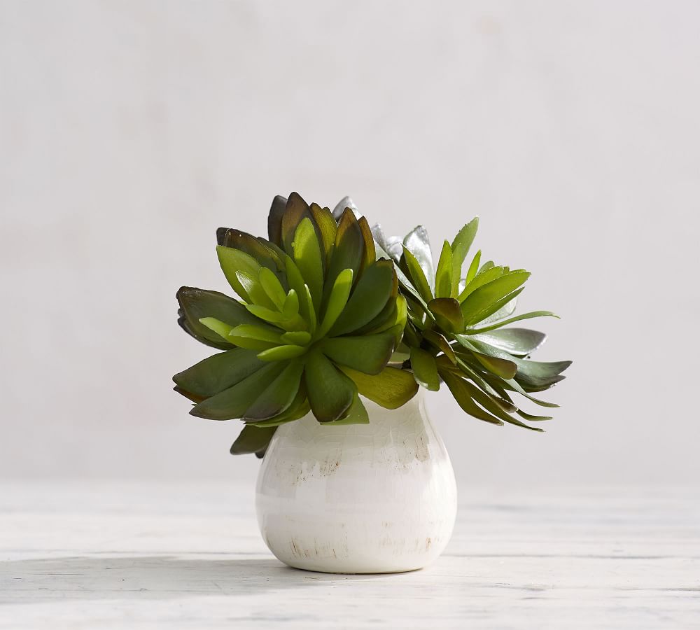 Faux Succulent Stems Artificial Flowers Pottery Barn