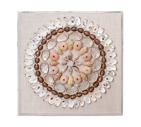 Oyster Shell Shadow Box Wall Art | Pottery Barn