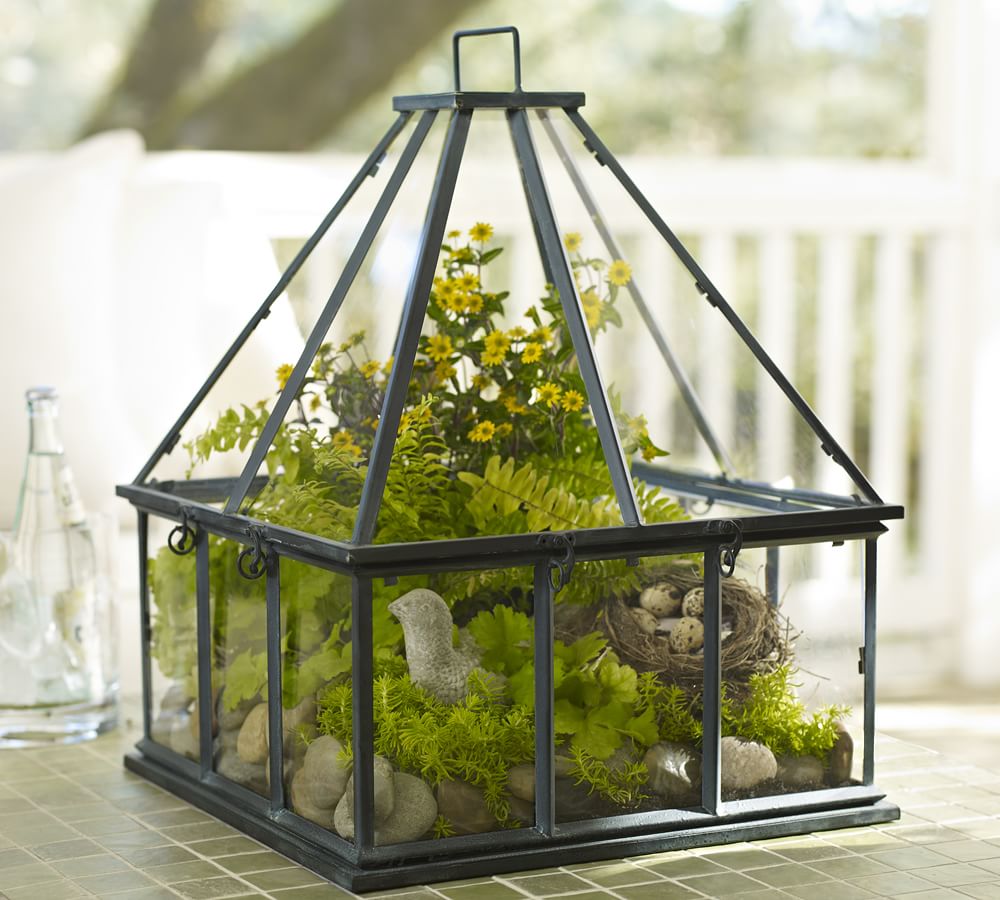 Tabletop Greenhouse | Pottery Barn