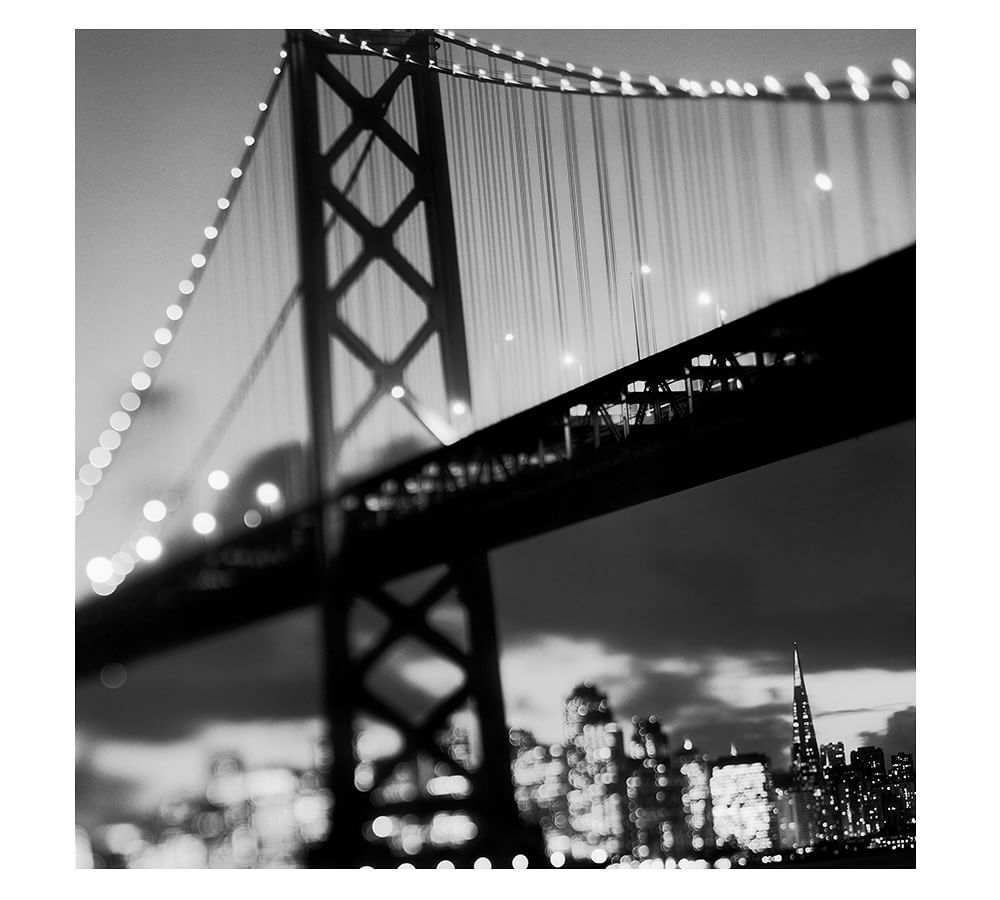 Bay Bridge Framed Print by Michal Venera Pottery Barn