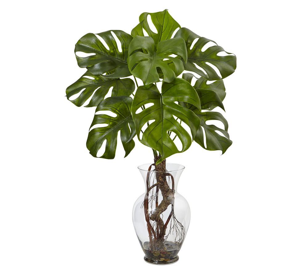 Faux Potted Monstera Plant Pottery Barn