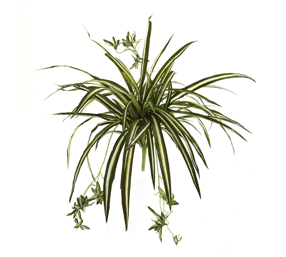 Faux Spider Plant Bush Set Of 4 Pottery Barn