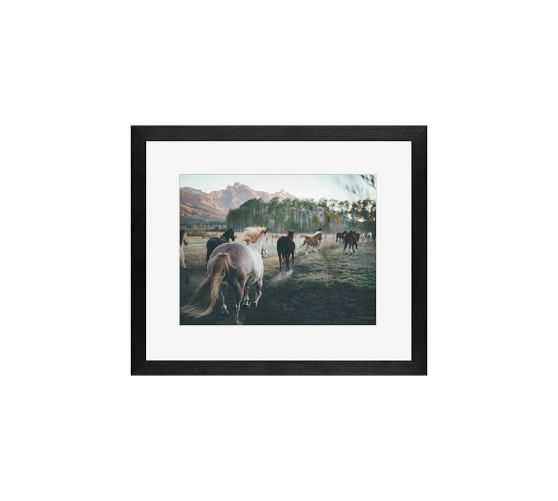 Print Wall Art Pottery Barn