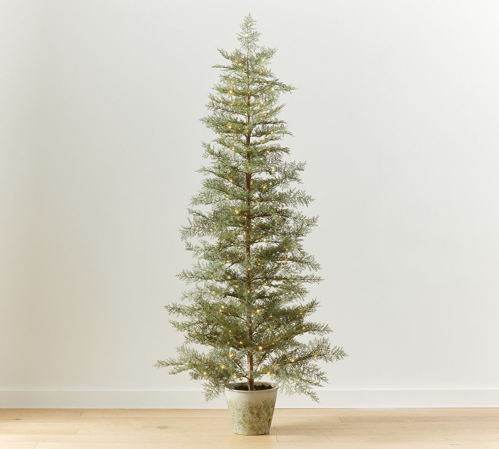 PreLit Faux Potted Cedar Trees Pottery Barn