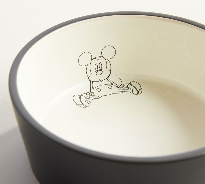 mickey mouse dog bowl