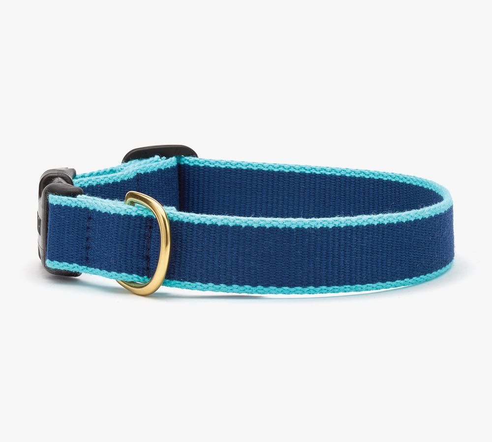 Two-Tone Collar with 6' Leash | Pottery Barn