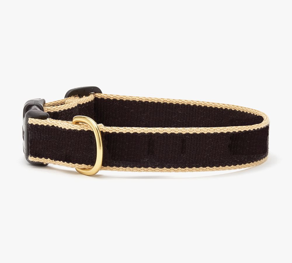 Two-Tone Collar with 6' Leash | Pottery Barn