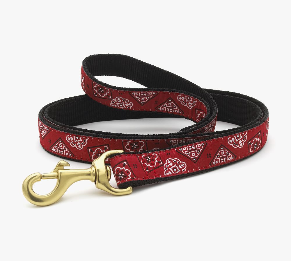 Patterned Collar with 6' Leash | Pottery Barn