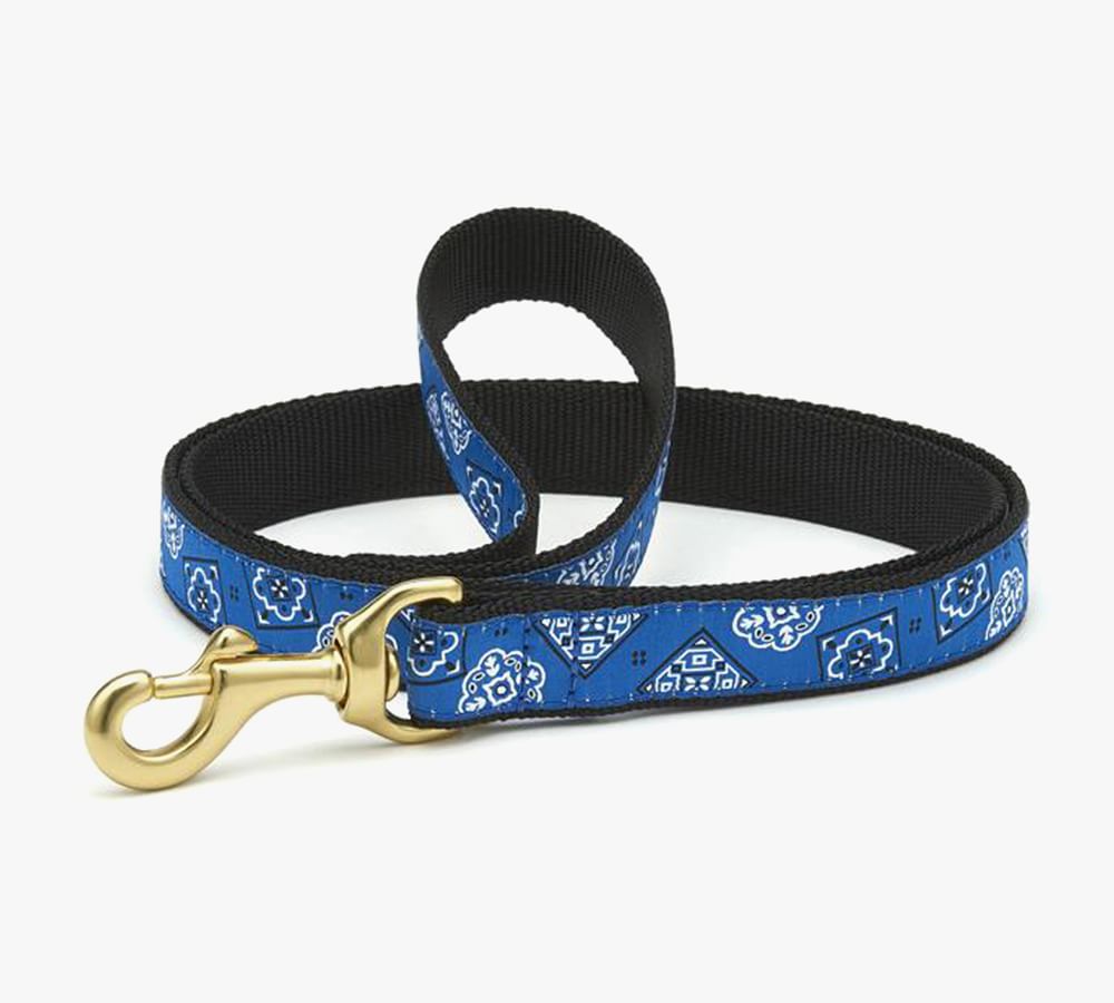 Patterned Collar with 6' Leash | Pottery Barn