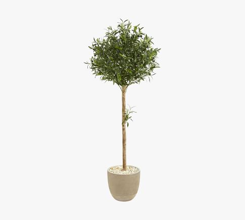 Faux Shady Lady Olive Tree - 9ft. | Pottery Barn