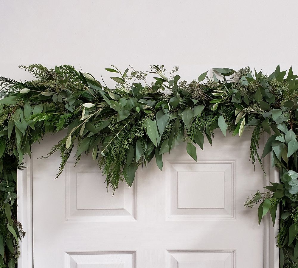Fresh Cedar, Eucalyptus, & Olive Holiday Garland, 6' Pottery Barn