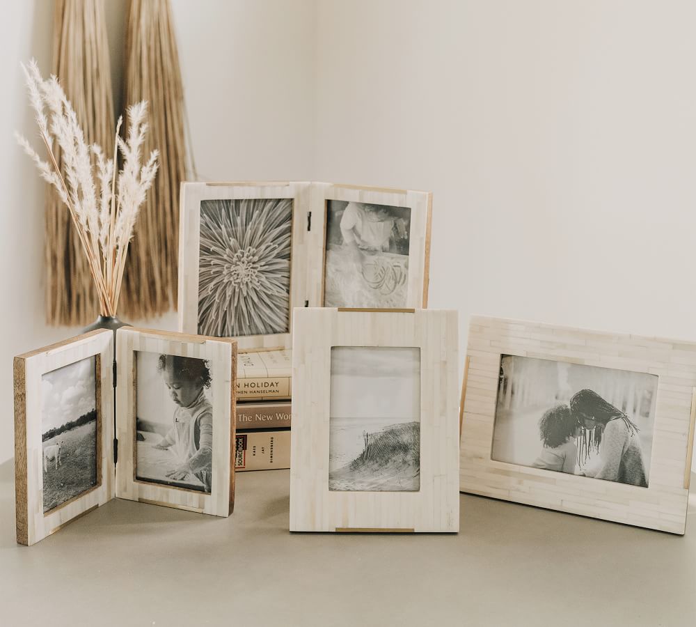 Saila Bone And Brass Frame Pottery Barn