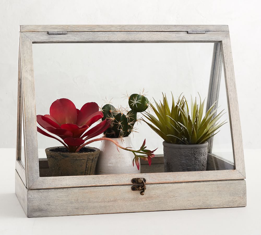 Wooden Terrarium's Pottery Barn