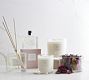 Signature Scent Collection - Cassis & Rose | Pottery Barn