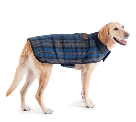 pendleton glacier dog coat