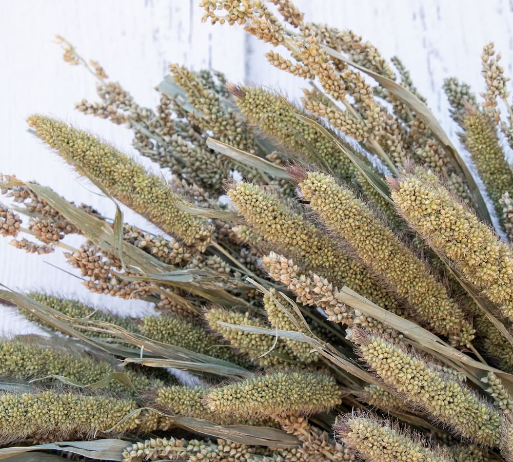 Dried Millet Grass Wreath Pottery Barn