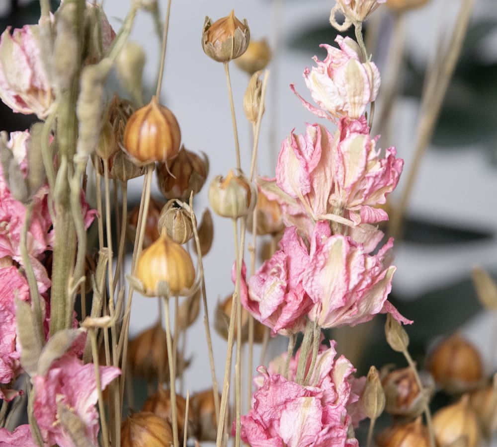 Dried Larkspur Garden Bouquet Pottery Barn