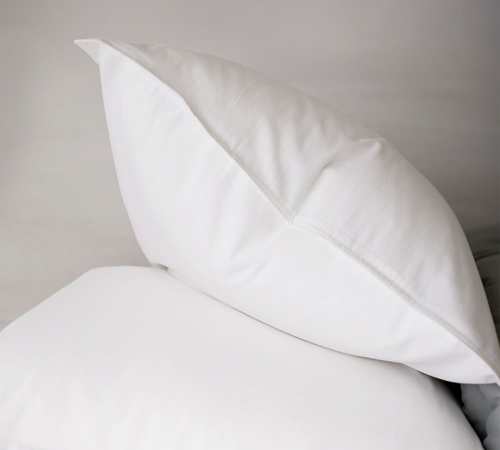 Dream Brushed Cotton Comforter Pottery Barn