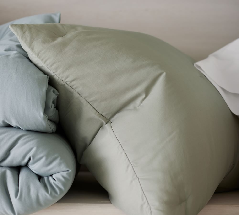 Dream Brushed Cotton Comforter Pottery Barn
