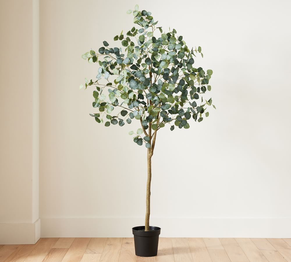 Faux Silver Dollar Eucalyptus Tree Pottery Barn