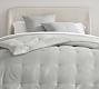 Dream Brushed Cotton Comforter | Pottery Barn