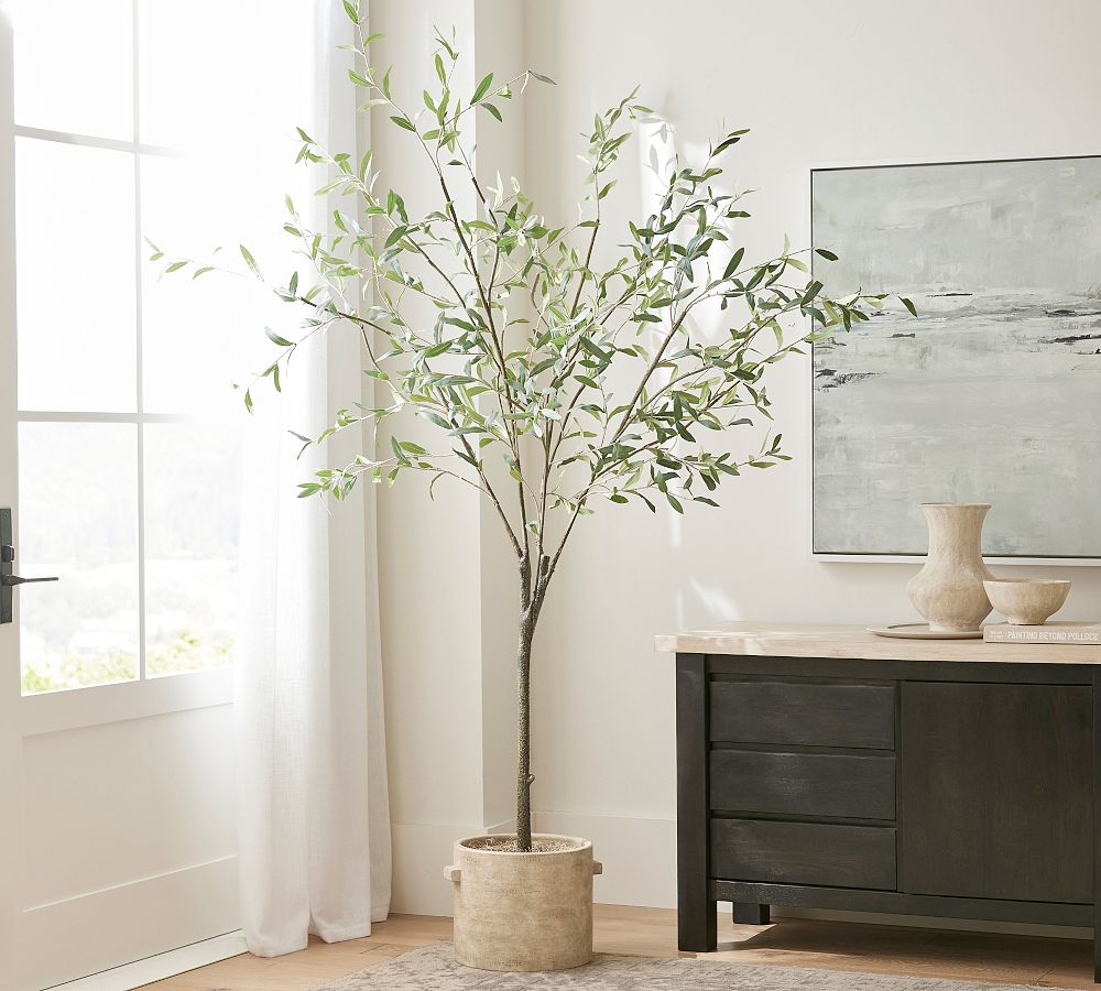 Faux Olive Trees Pottery Barn