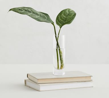 Aegean Clear Glass Vases | Pottery Barn