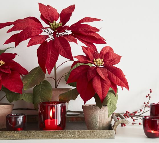 Faux Potted Poinsettias | Pottery Barn