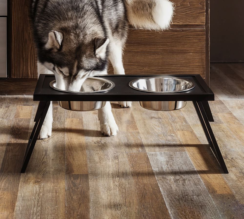 Ecoflex® Adjustable Large Dual Pet Bowls | Pottery Barn