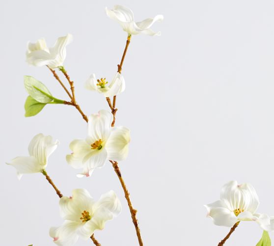 Faux Dogwood Stem Pottery Barn