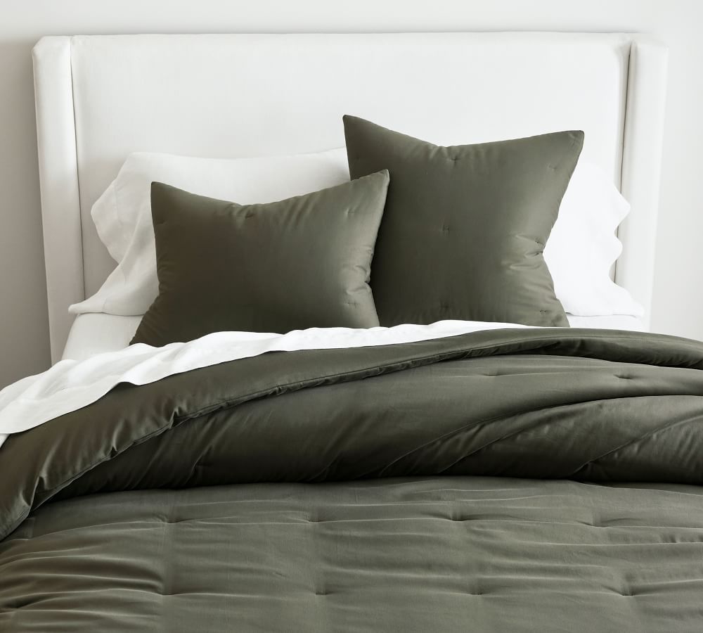 Dream Brushed Cotton Comforter Sham Pottery Barn