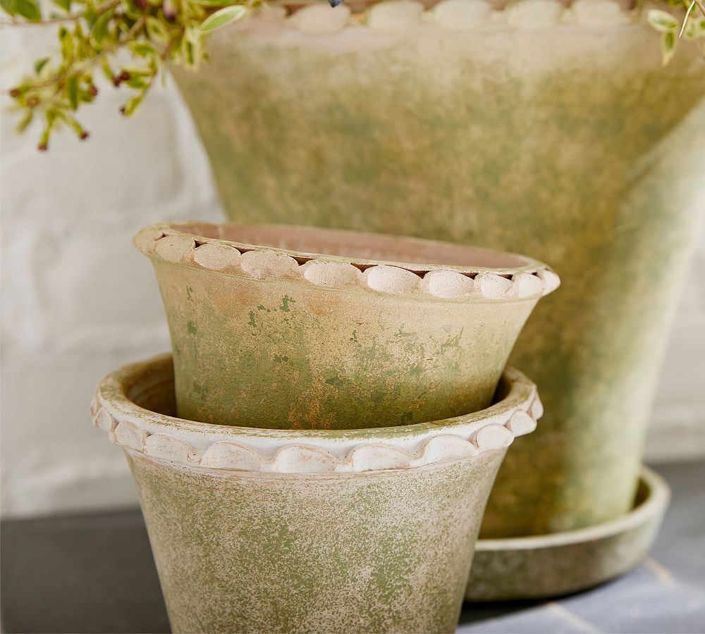 Provence Scalloped Edge Outdoor Planters Moss Pottery Barn