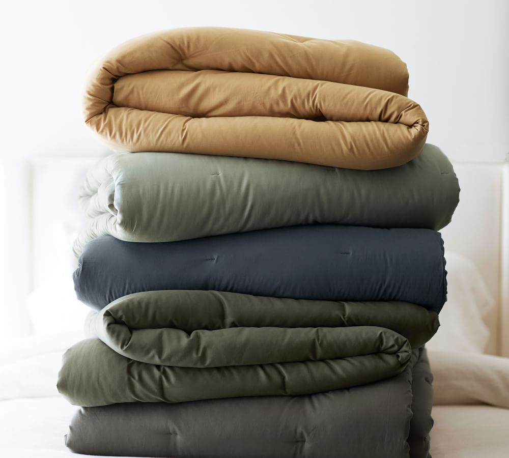 Dream Brushed Cotton Comforter Pottery Barn