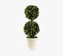 Preserved Boxwood Double Sphere Topiary Tree In White Pot | Pottery Barn