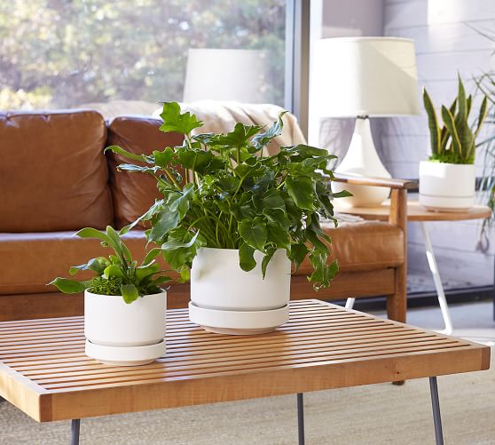 Modern White Ceramic Planter | Pottery Barn