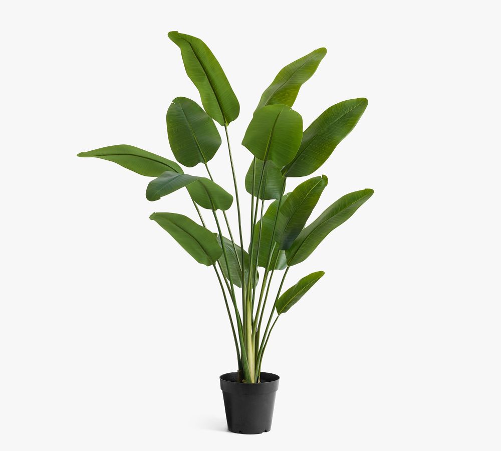 Faux Potted Banana Palm Tree Pottery Barn