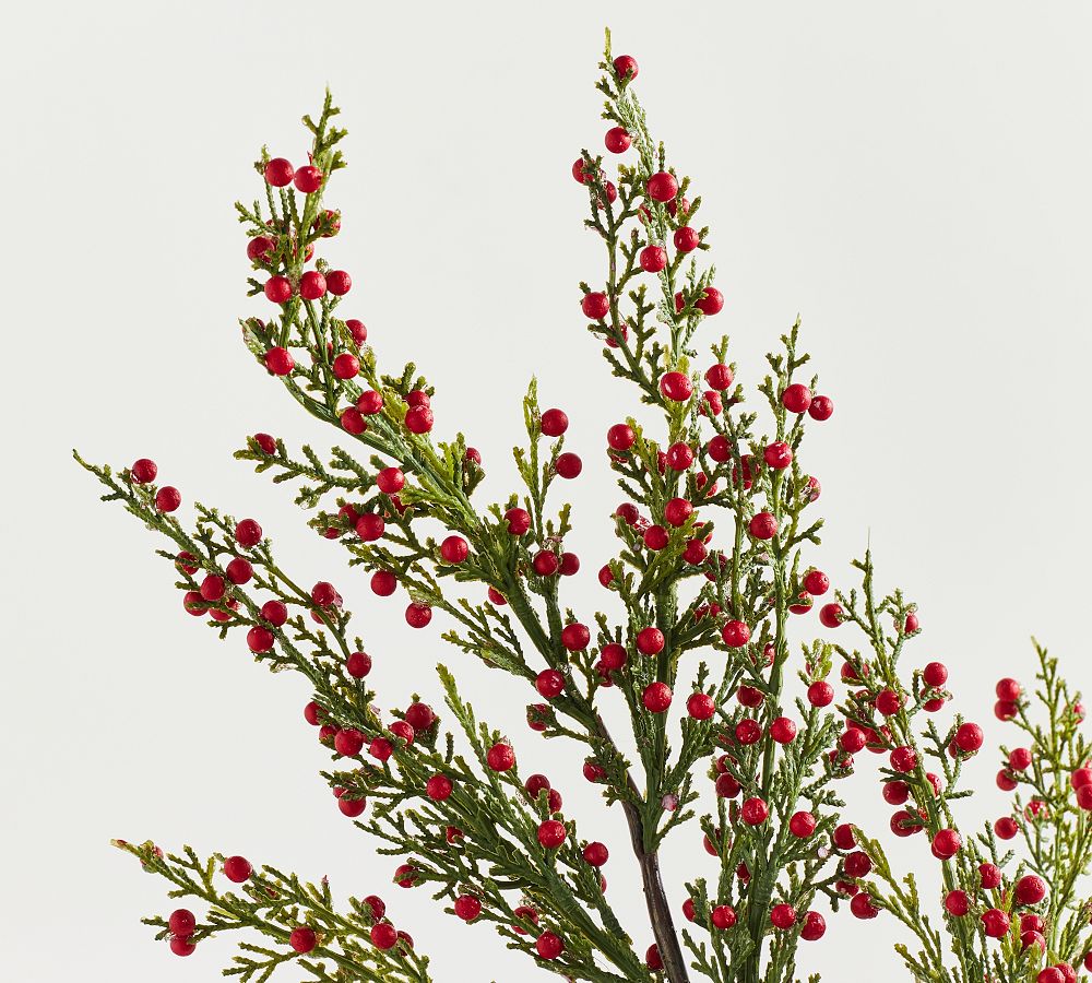 Faux Red Berries Cedar Pine Spray 35" Pottery Barn