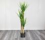 Faux Potted Yucca Tree | Pottery Barn