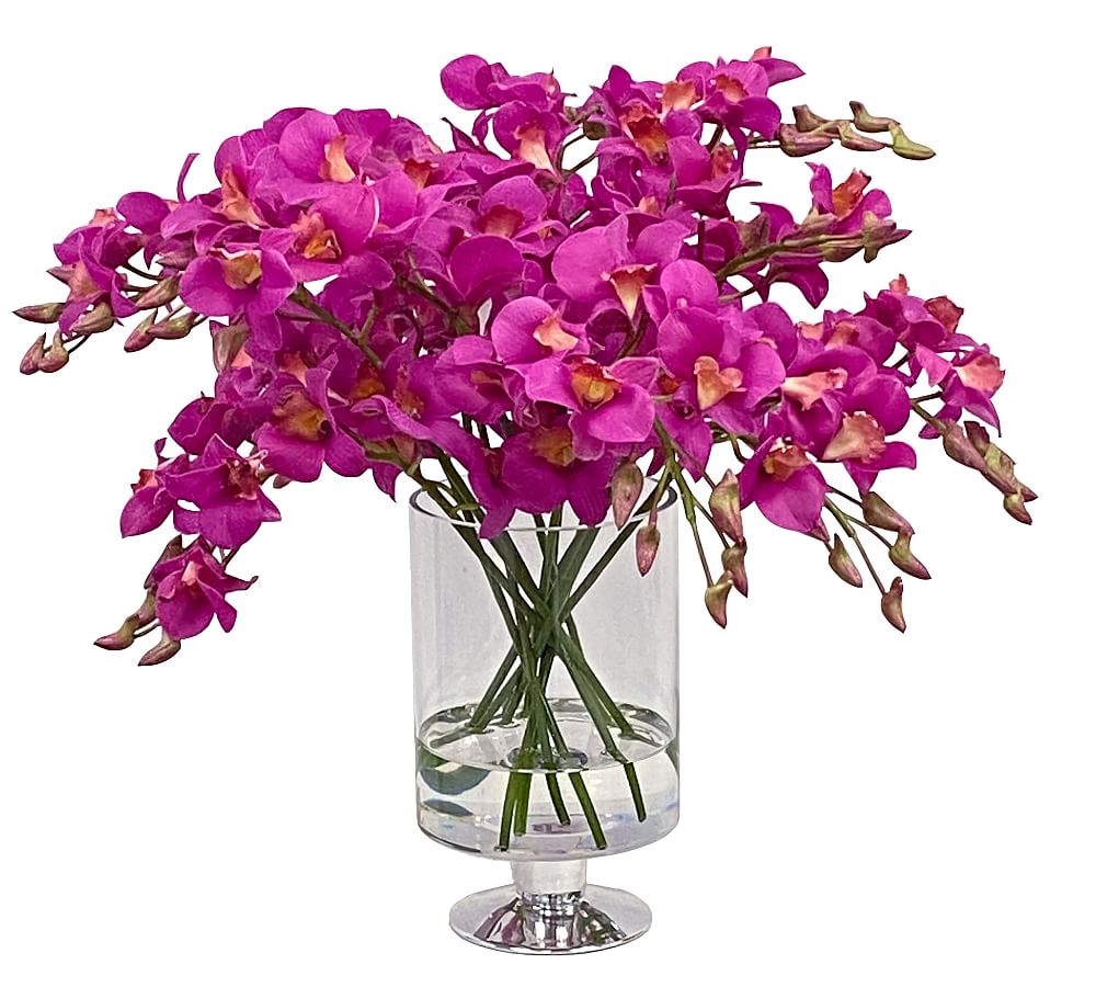 Faux Orchid In Cylinder Vase Pottery Barn 3747