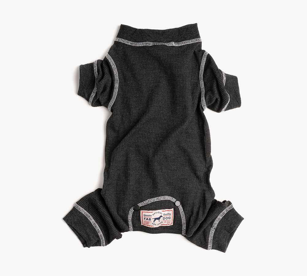 Matching Thermal Pet & Human Pajamas Pottery Barn