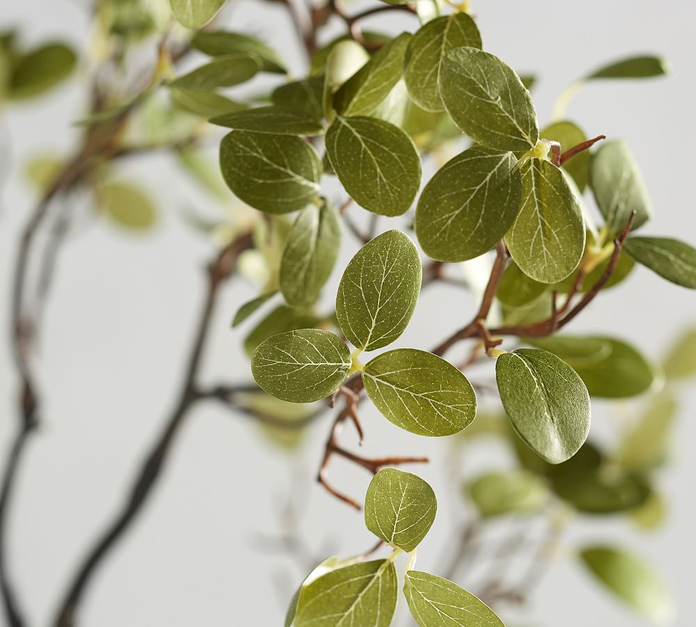 Faux Manzanita Branch Artificial Flowers Pottery Barn