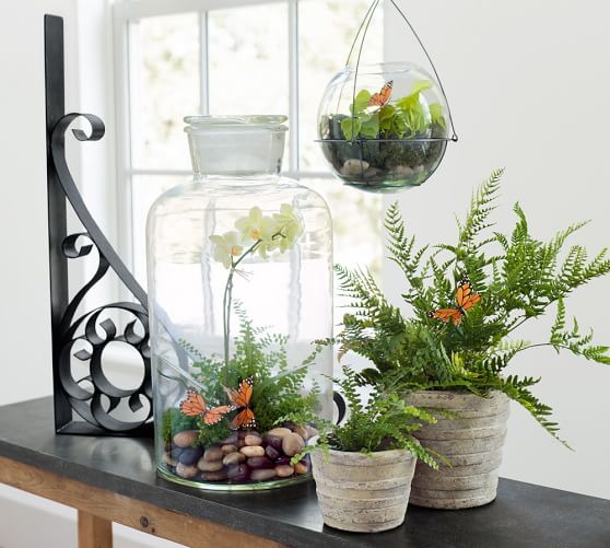 Tabletop Jar Terrarium Pottery Barn